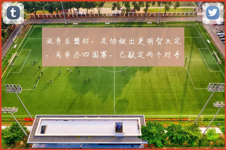 放弃东盟杯，足协做出更明智决定，或举办四国赛，已敲定两个对手