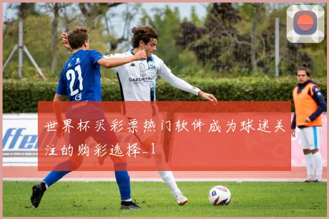 世界杯买彩票热门软件成为球迷关注的购彩选择_1