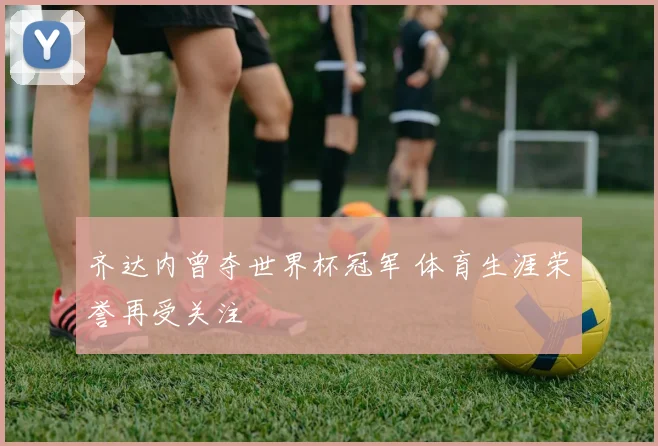 齐达内曾夺世界杯冠军 体育生涯荣誉再受关注